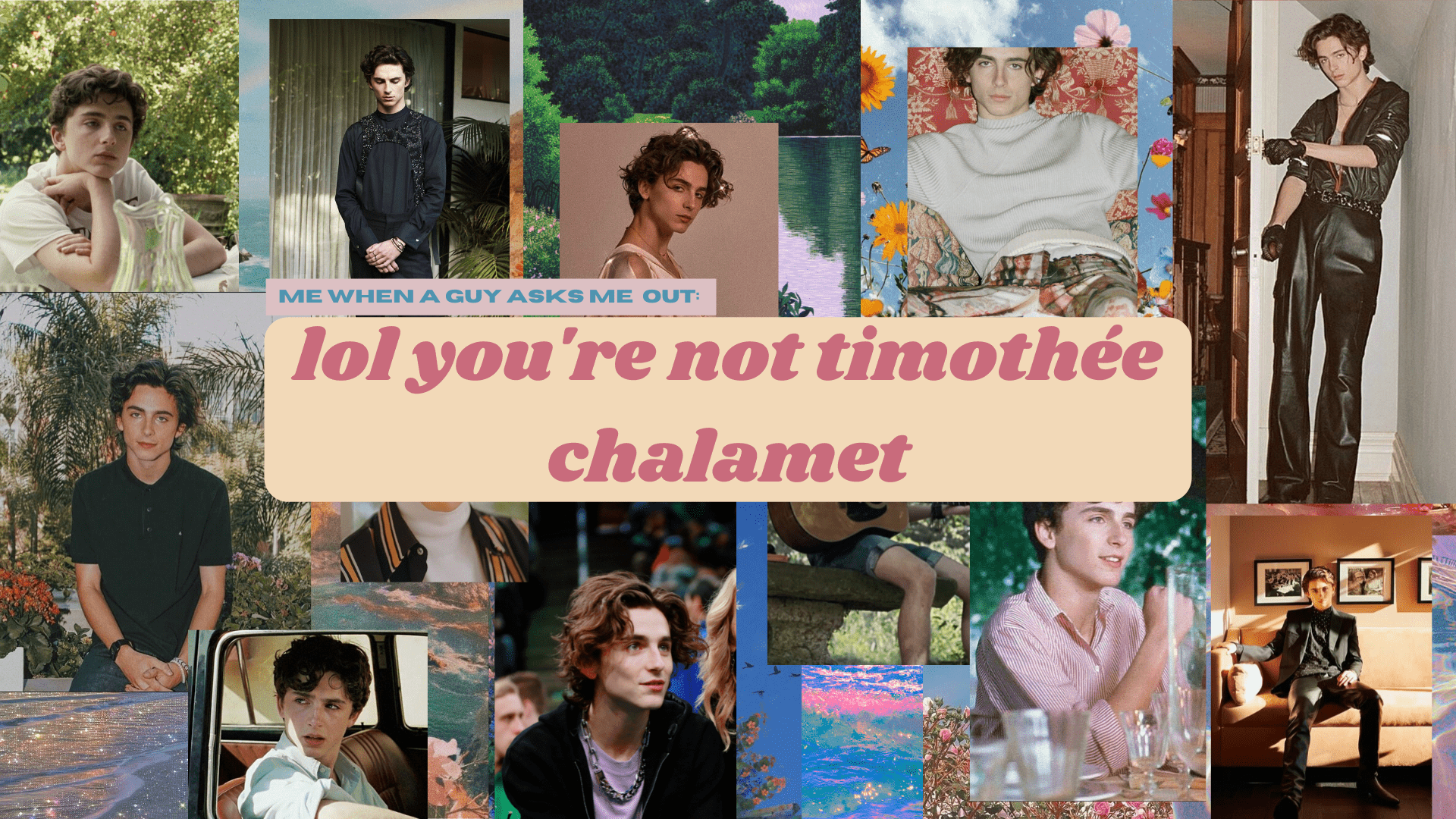 A collage of pictures with the words lol you're not timothee chalamet - Timothee Chalamet