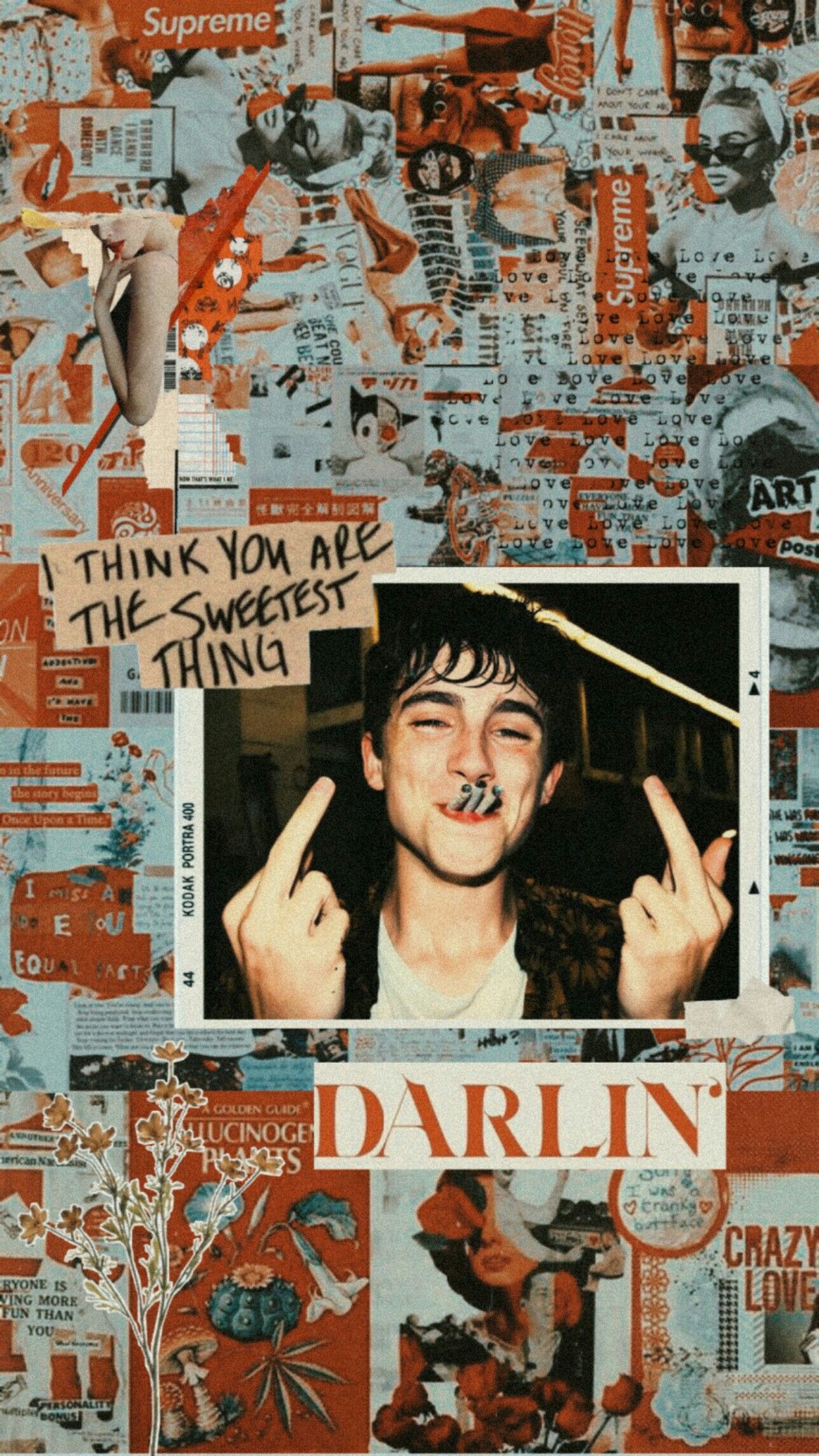 Aesthetic phone background of a collage of pictures of Darin from Stranger Things - Timothee Chalamet