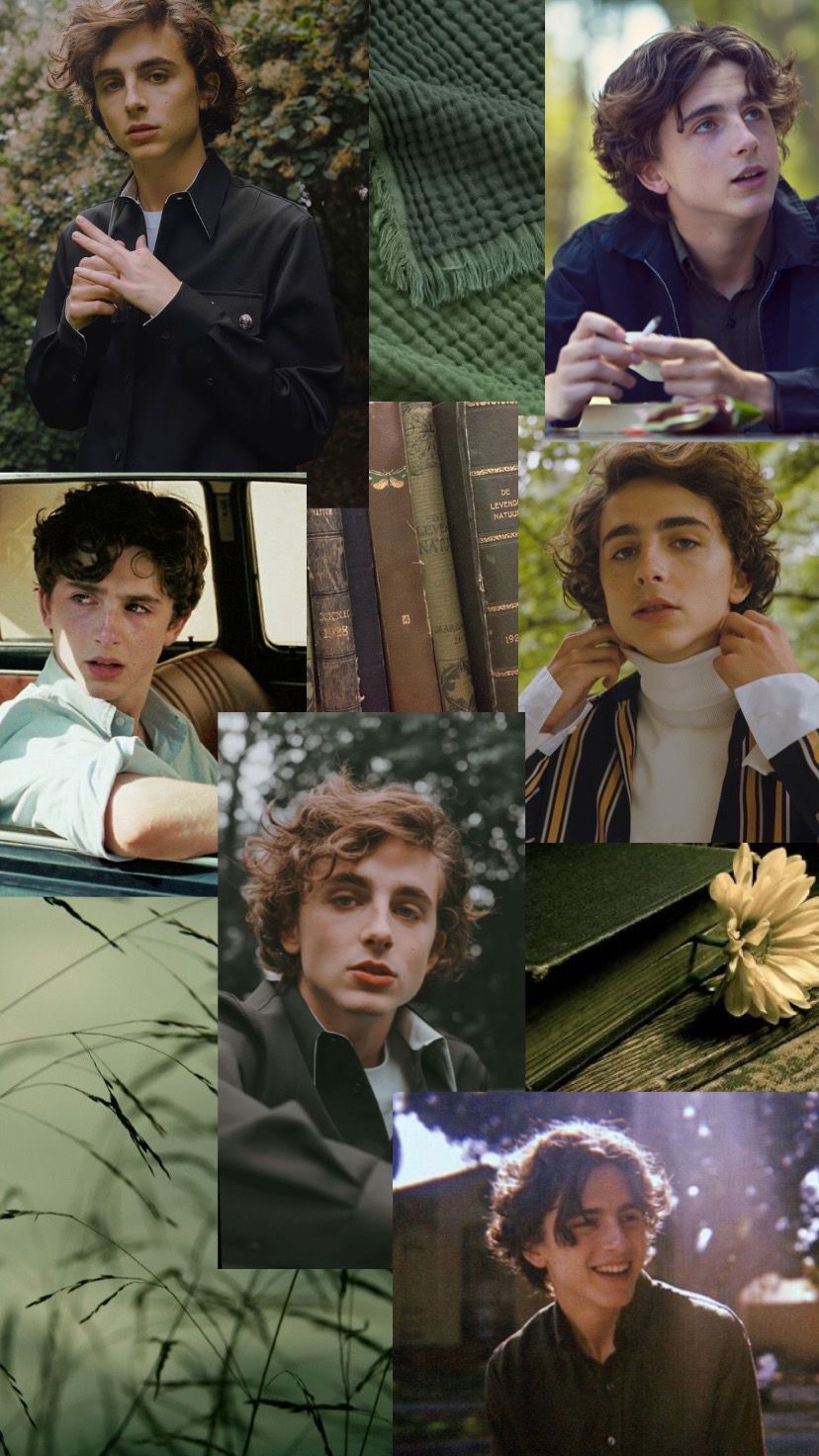Collage of Timothee Chalamet in different roles and outfits - Timothee Chalamet
