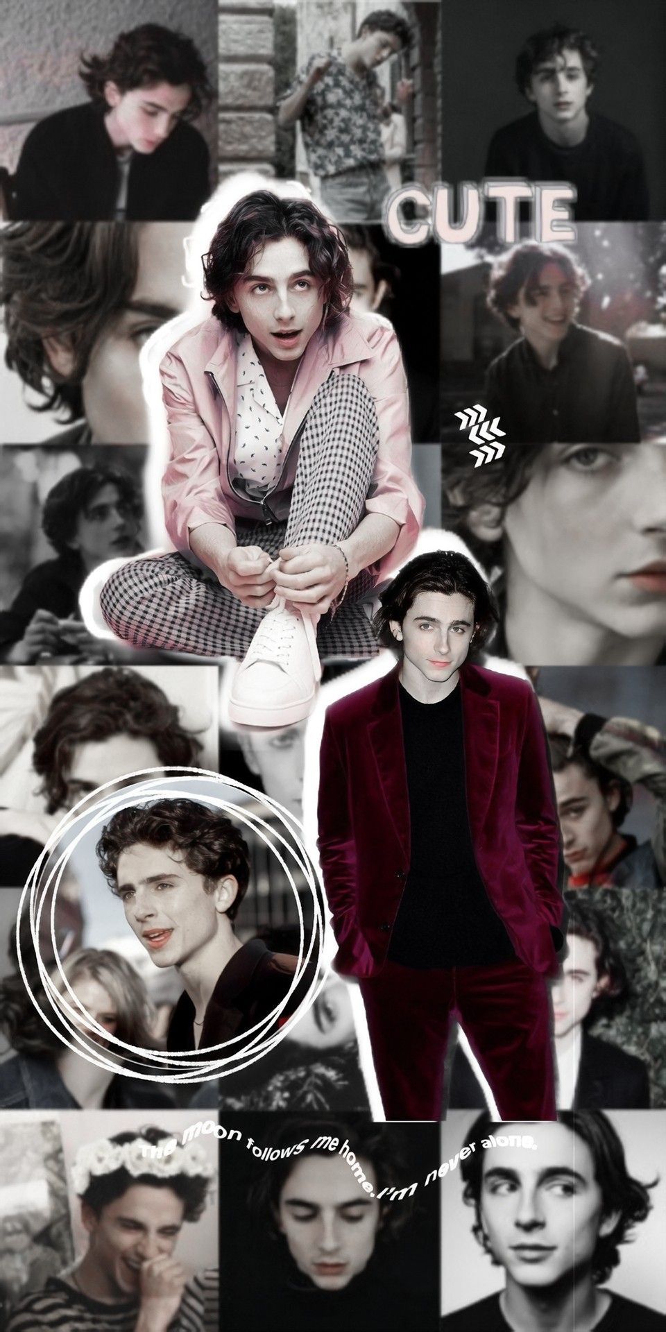 A collage of pictures with the word cute - Timothee Chalamet
