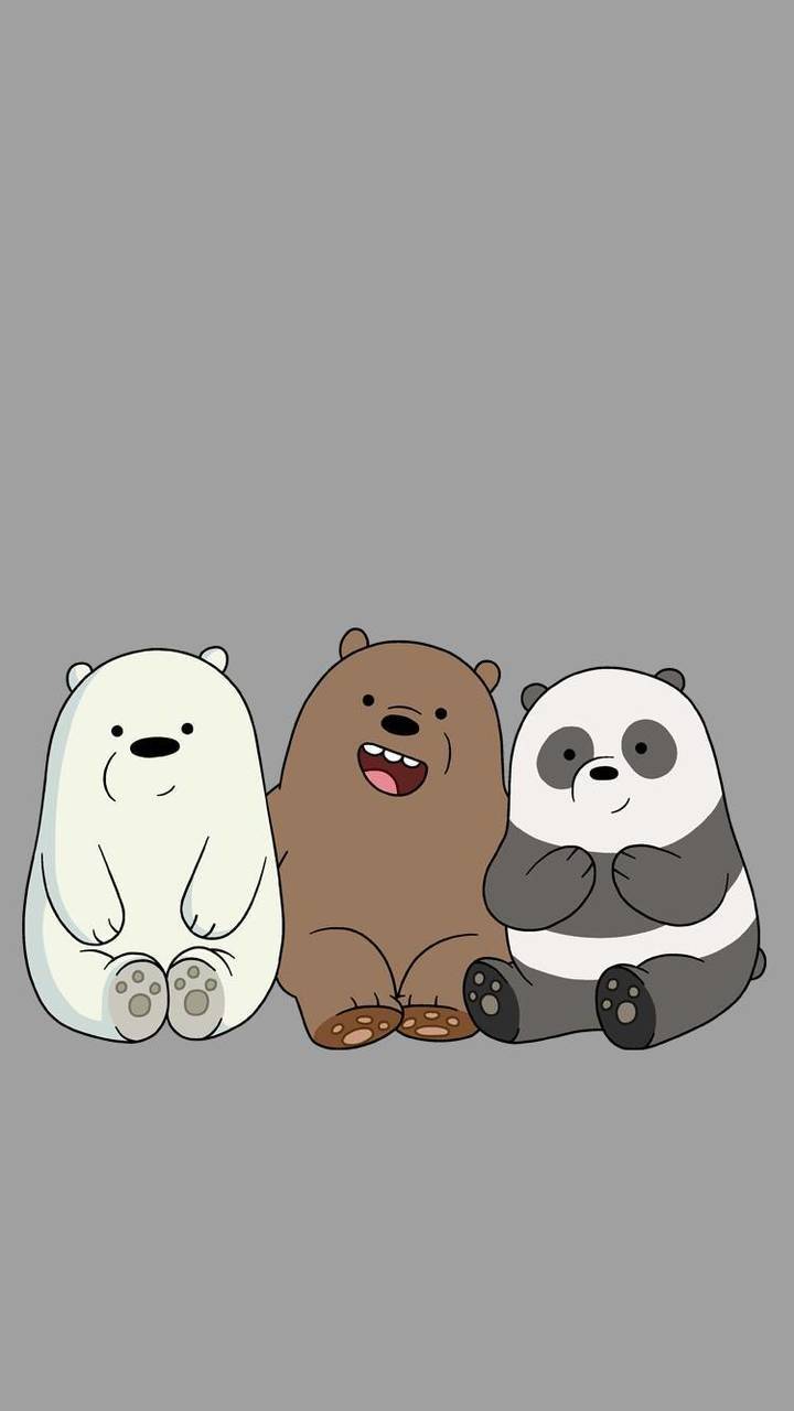 Three cute bears sitting together on a gray background - We Bare Bears