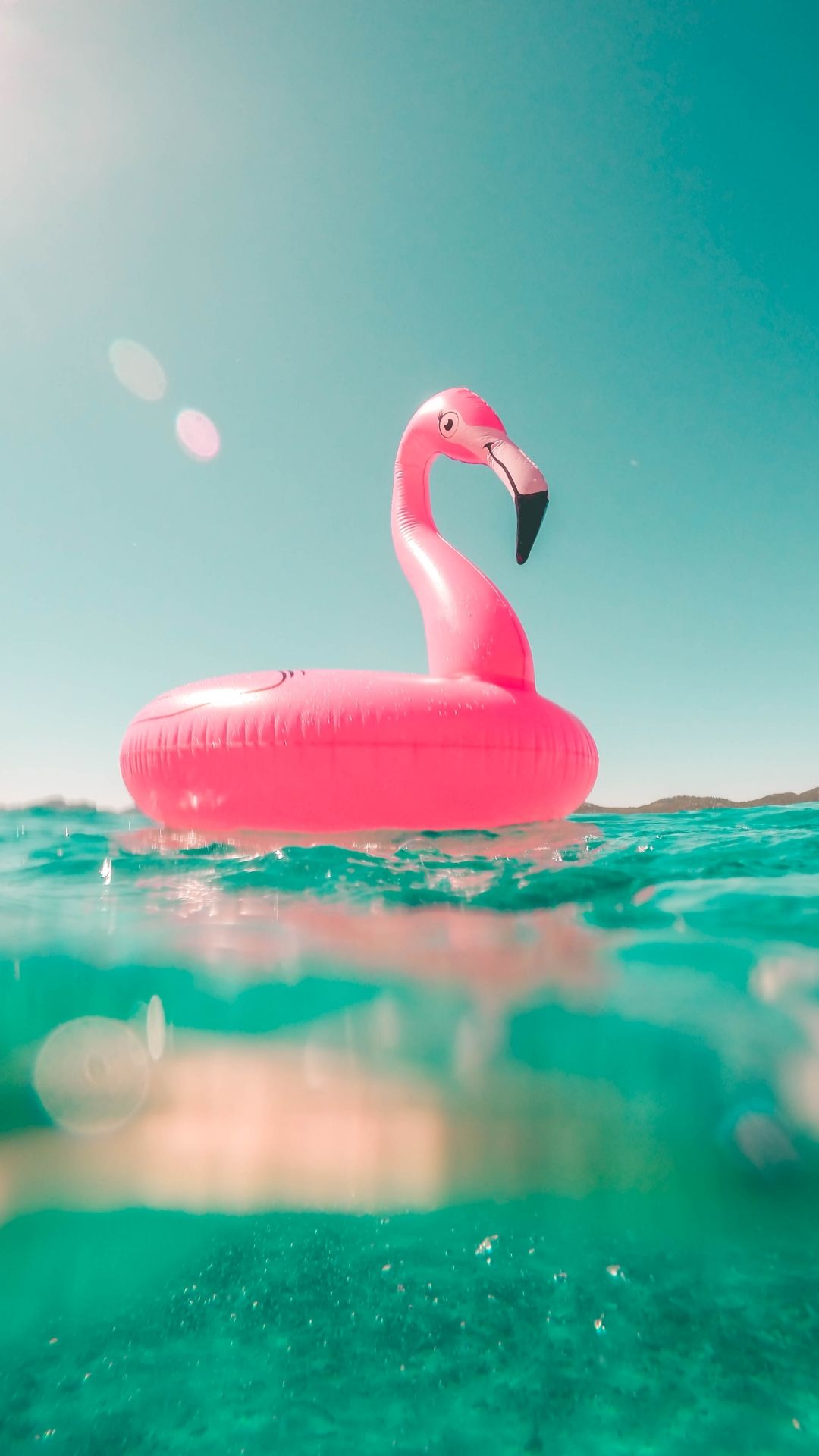 A pink flamingo is floating in the water - Pink, turquoise