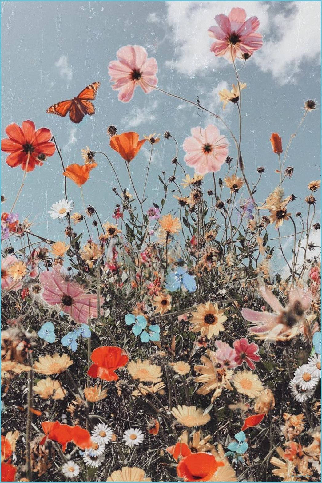 A field of flowers with a butterfly in the sky - Boho