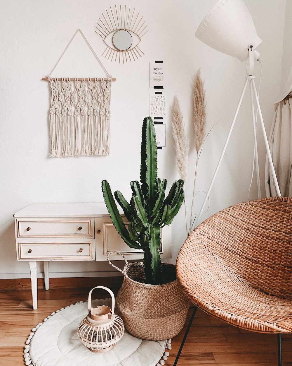 A cactus sitting on the floor next to some furniture - Boho, cactus