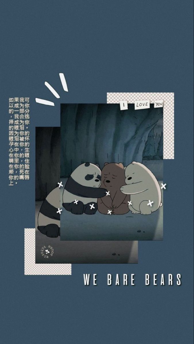 A poster with two bears and the words we bare bear - We Bare Bears