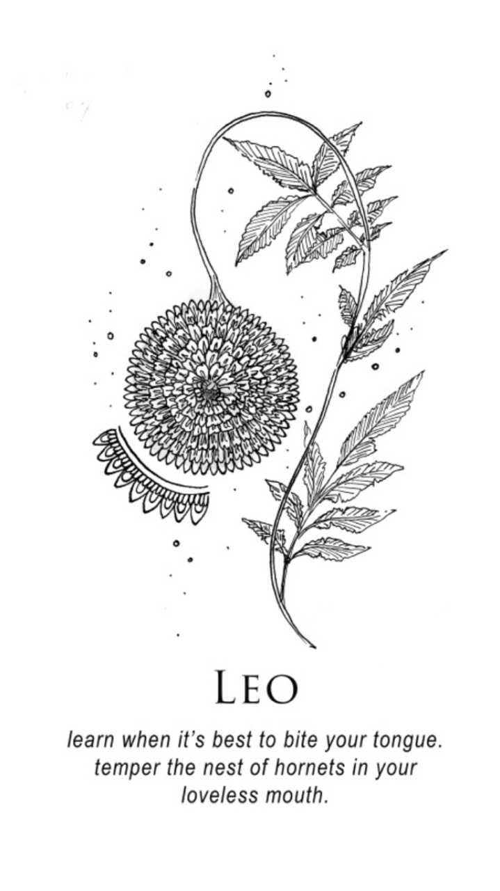 A black and white drawing of the zodiac sign leo - Leo