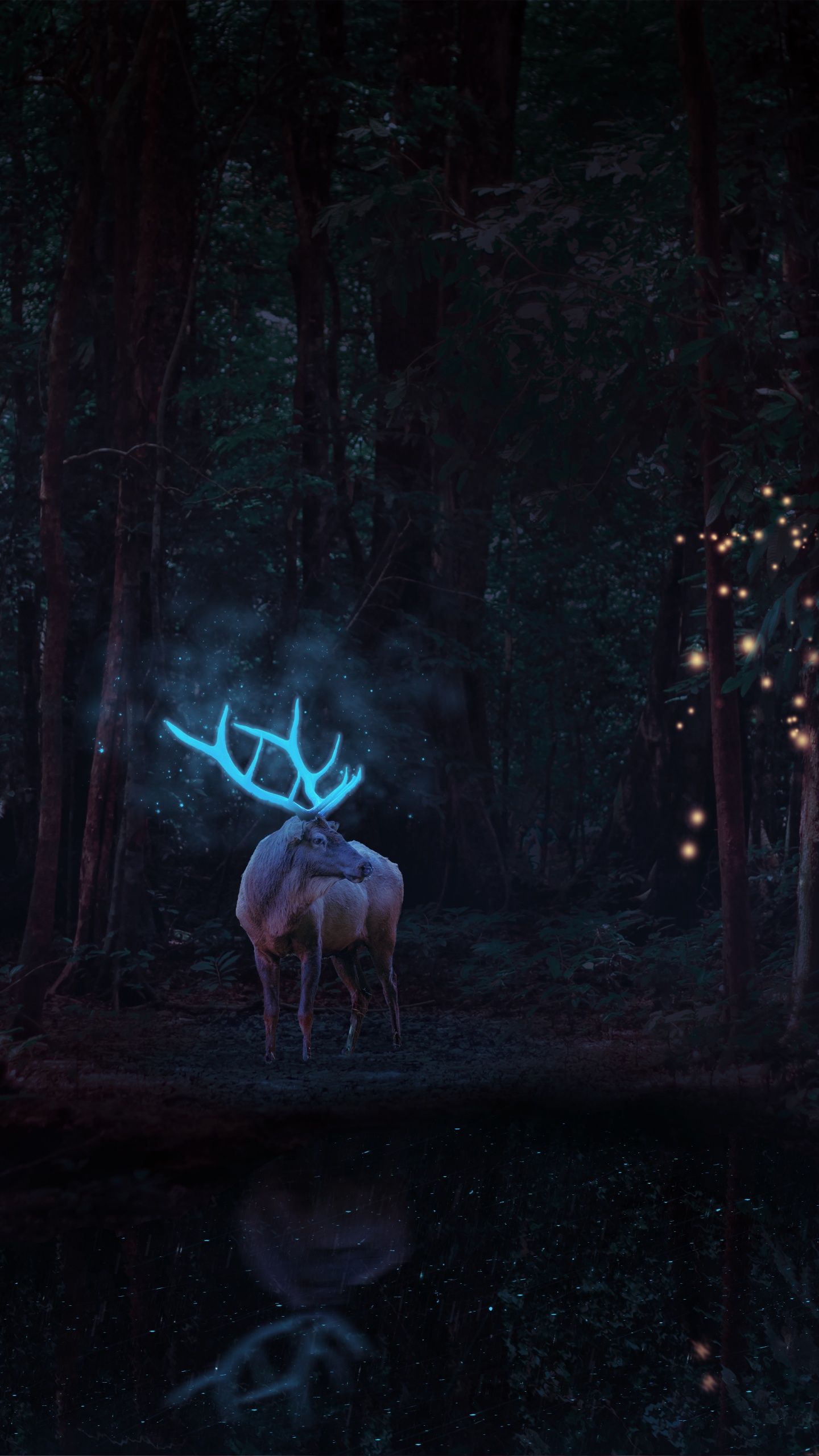 A deer with antlers in the woods - Deer