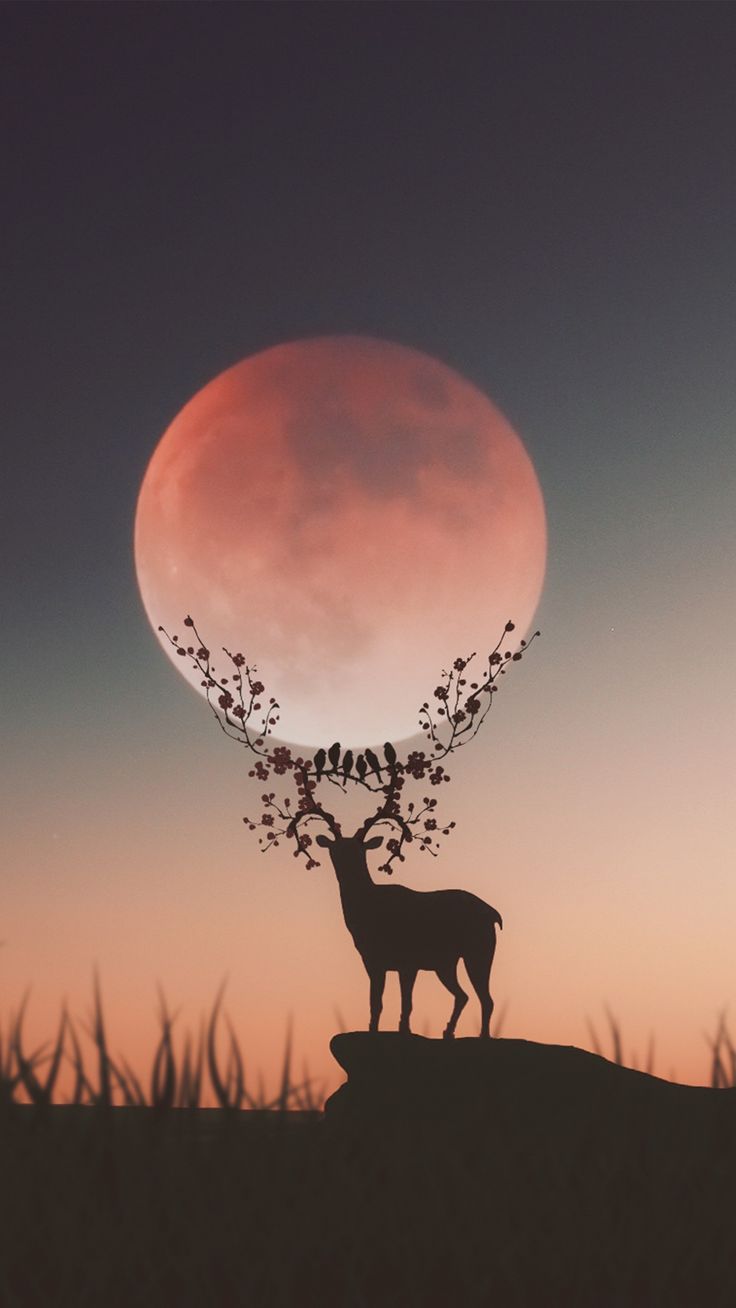 A silhouette of an animal with the moon in front - Deer