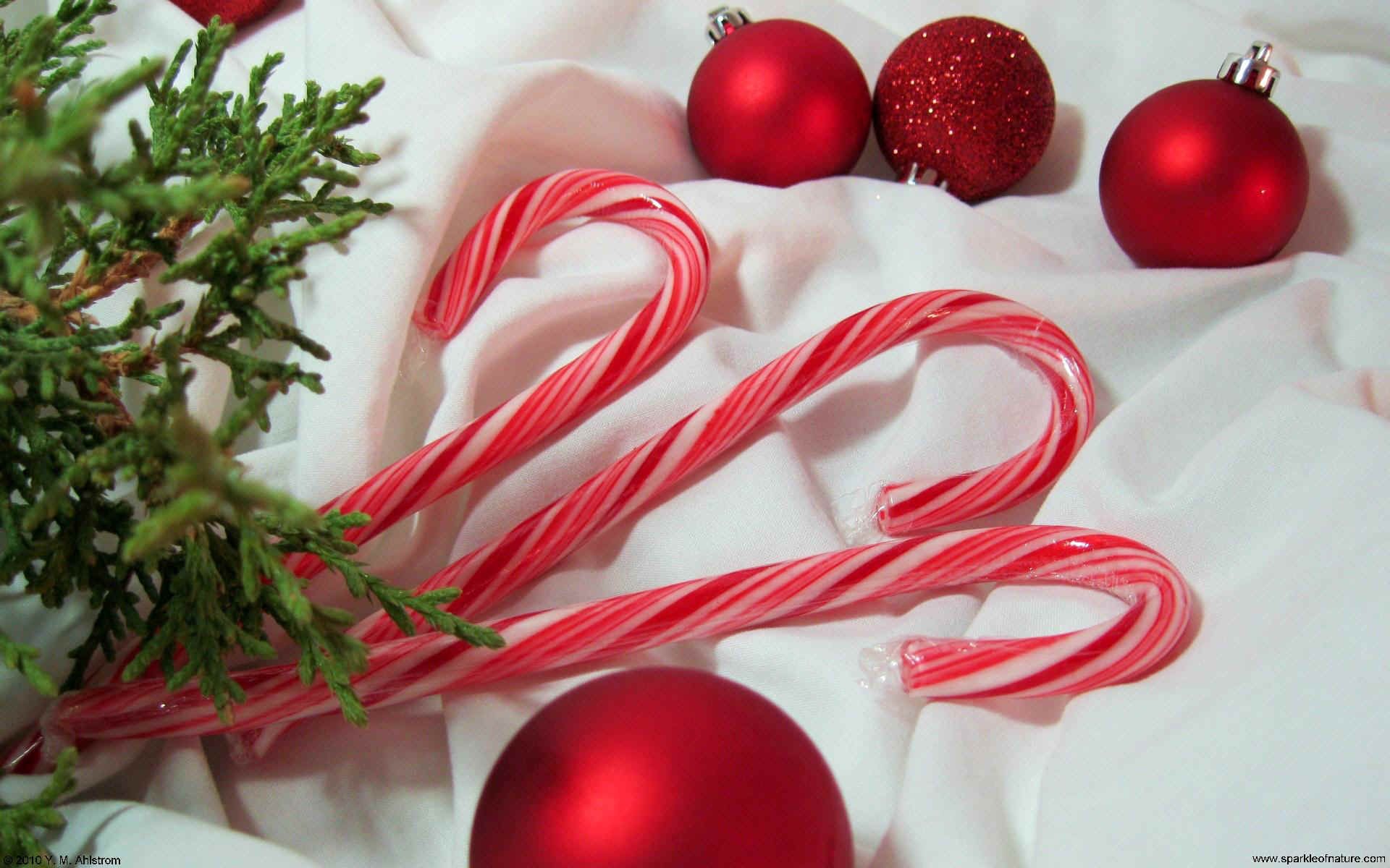 Christmas candy canes and red ornaments on a white background - Candy cane