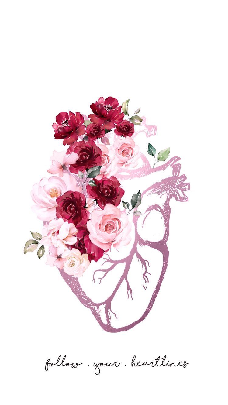 Follow your heartlines, anatomic heart with flowers - Anatomy