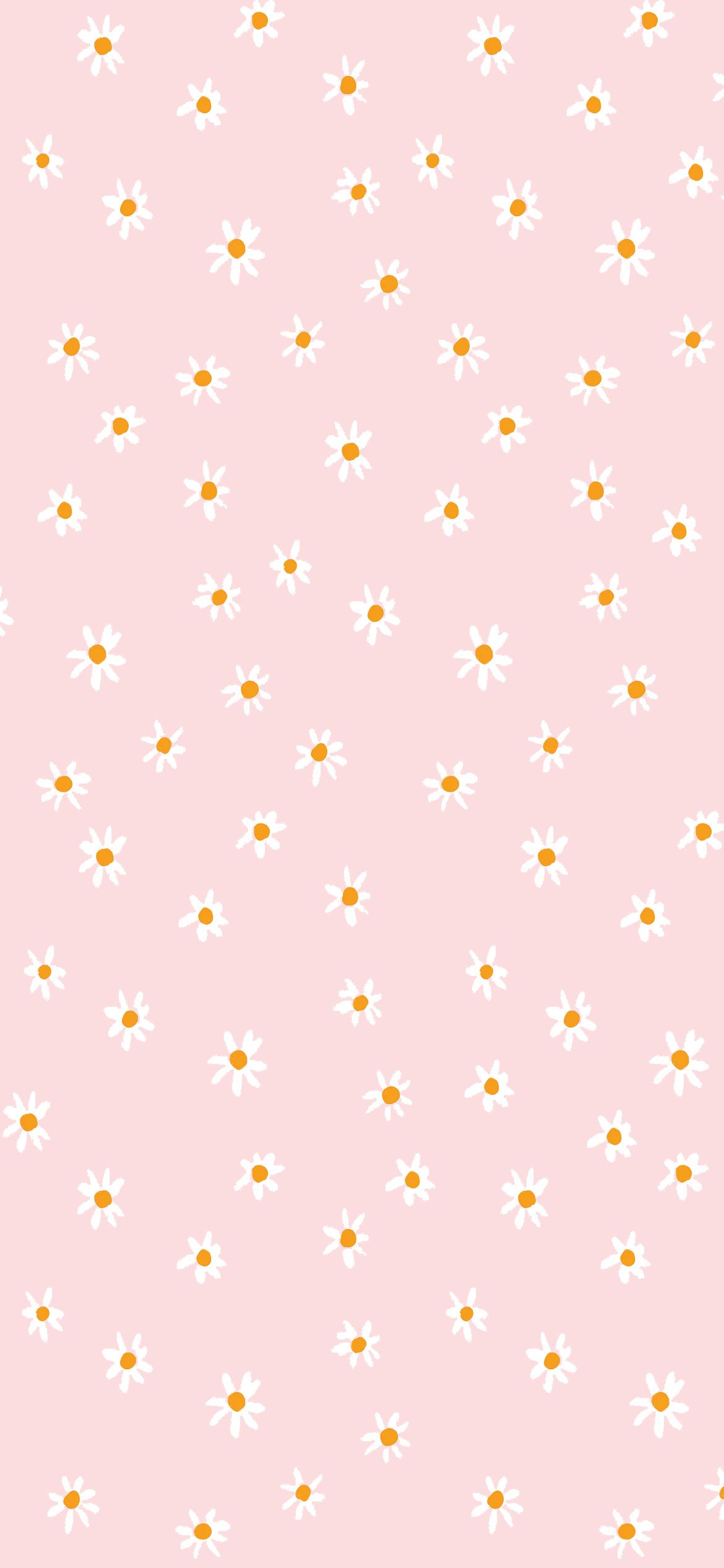 IPhone wallpaper with daisies on a pink background - Pink, boho