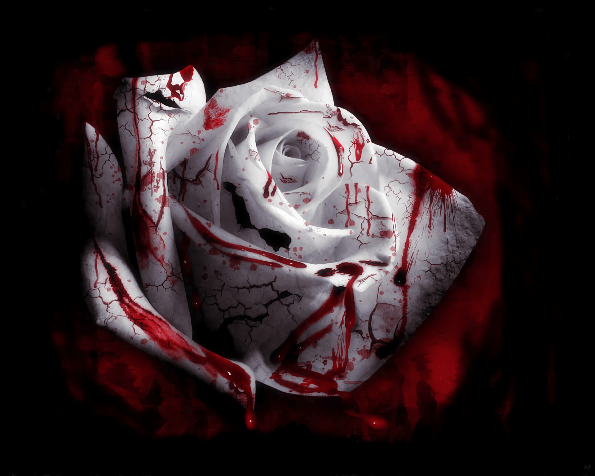 Blood and roses wallpaper - photo#29 - Blood