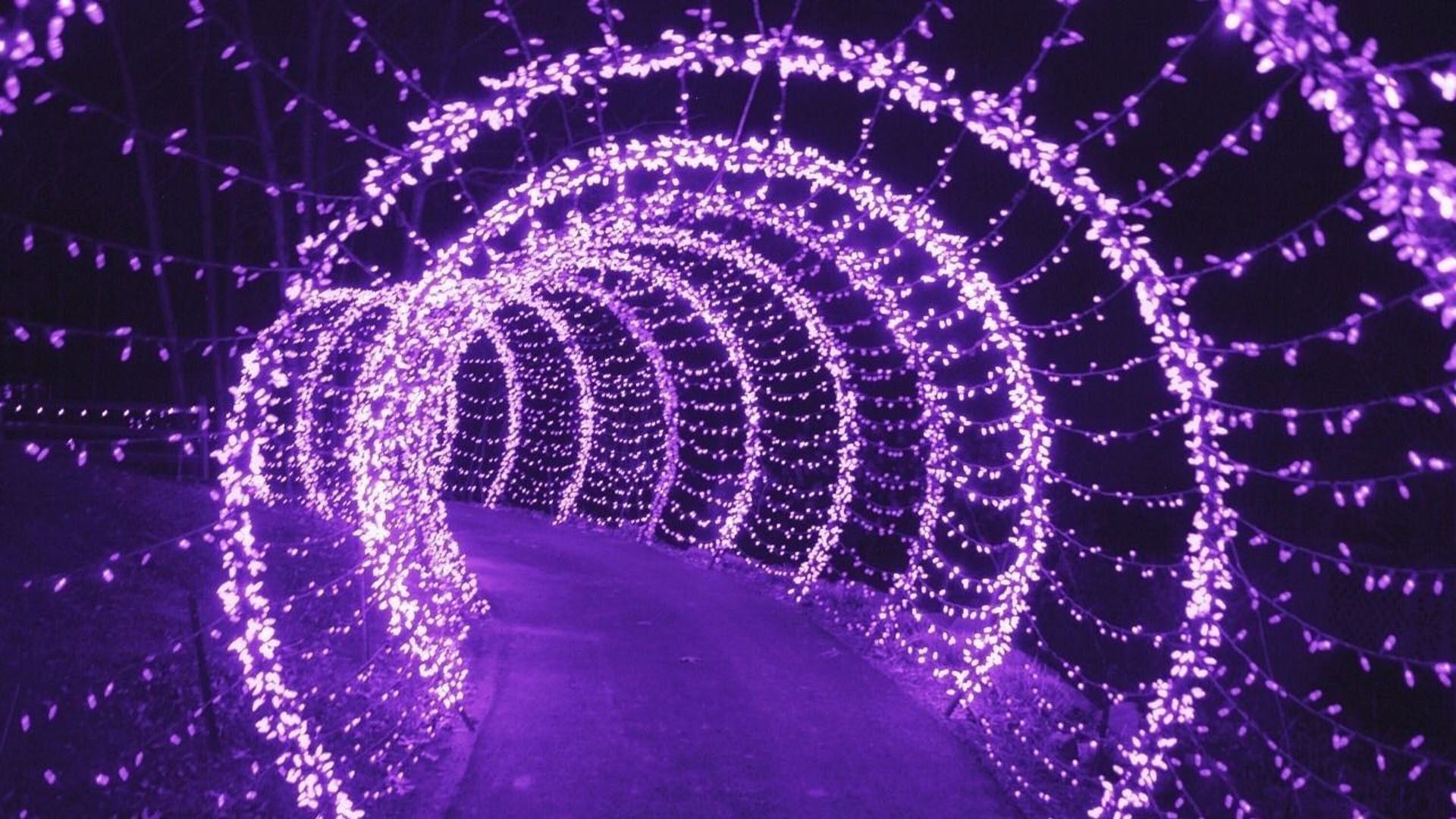 A purple light tunnel with a path through it - Light purple