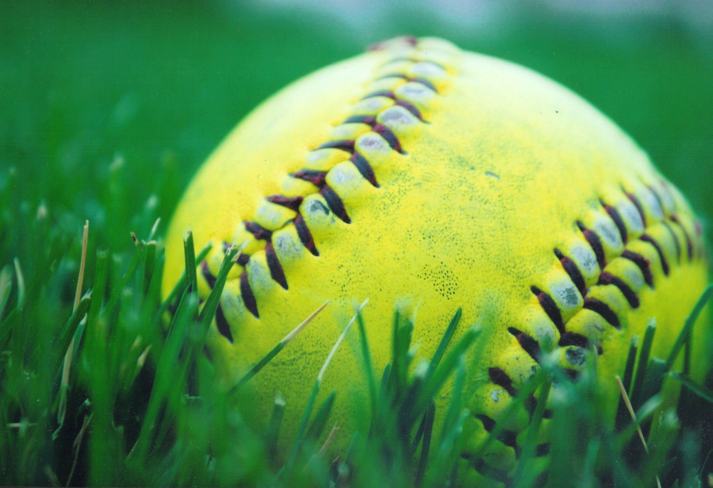 A yellow softball is sitting in the grass - Softball