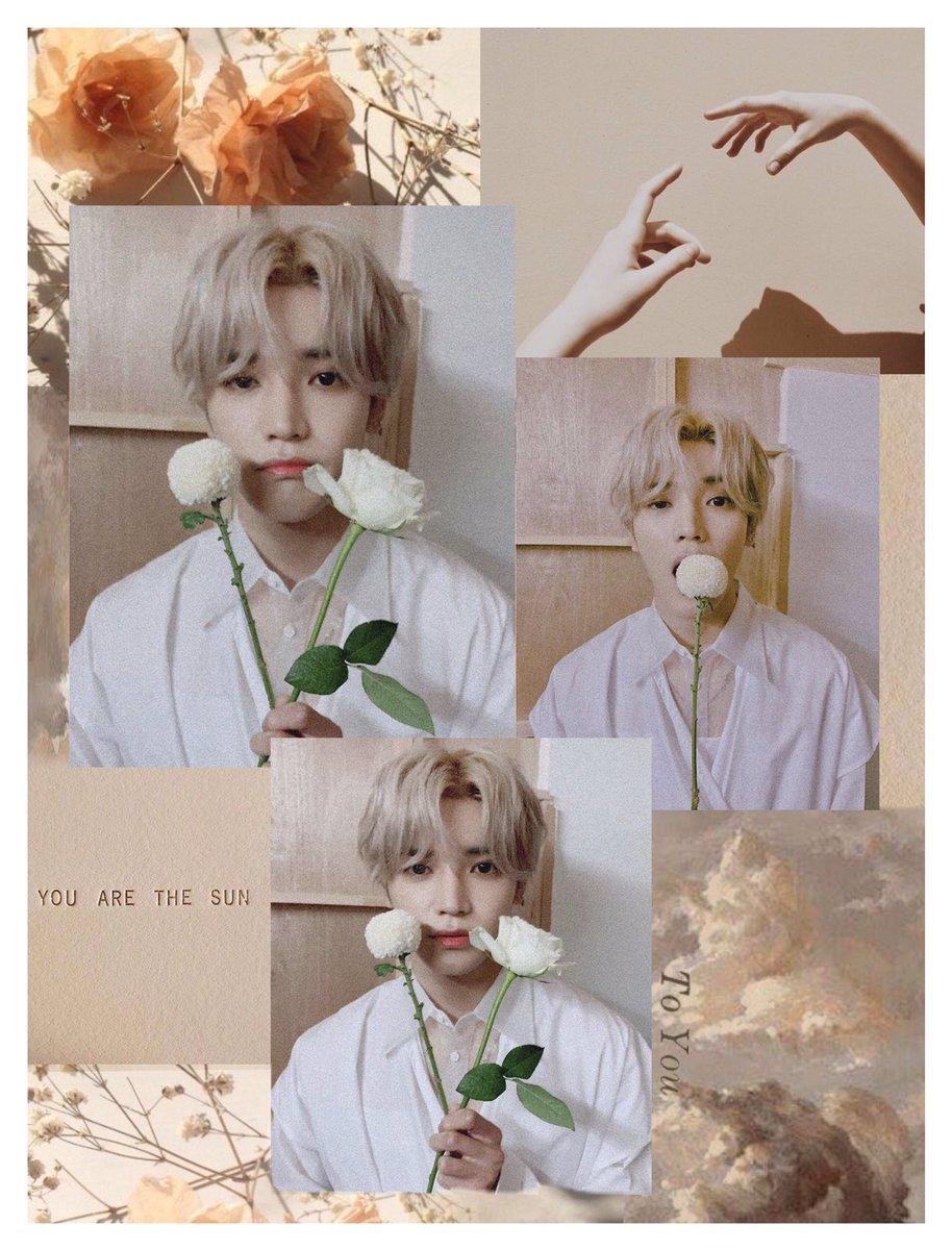 This is a collage of photos of the K-pop star Jimin from BTS holding a white rose. - NCT