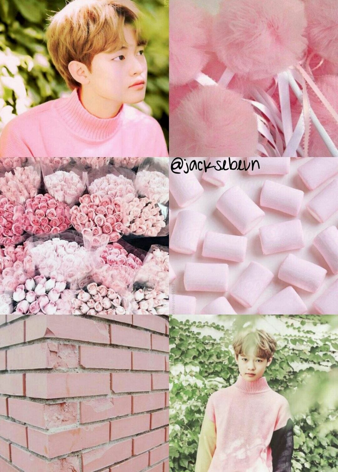 A collage of pictures with pink backgrounds - NCT
