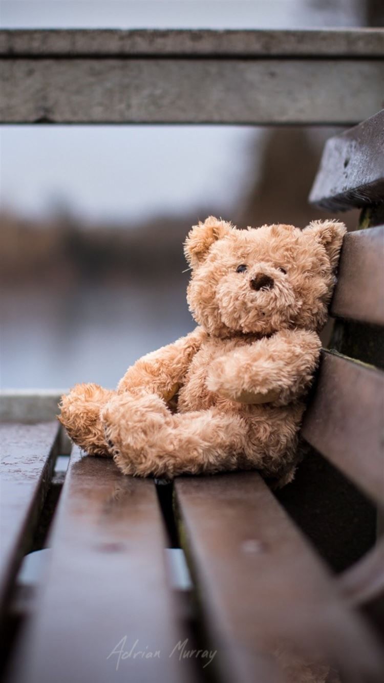 A teddy bear sitting on a wooden bench - Teddy bear