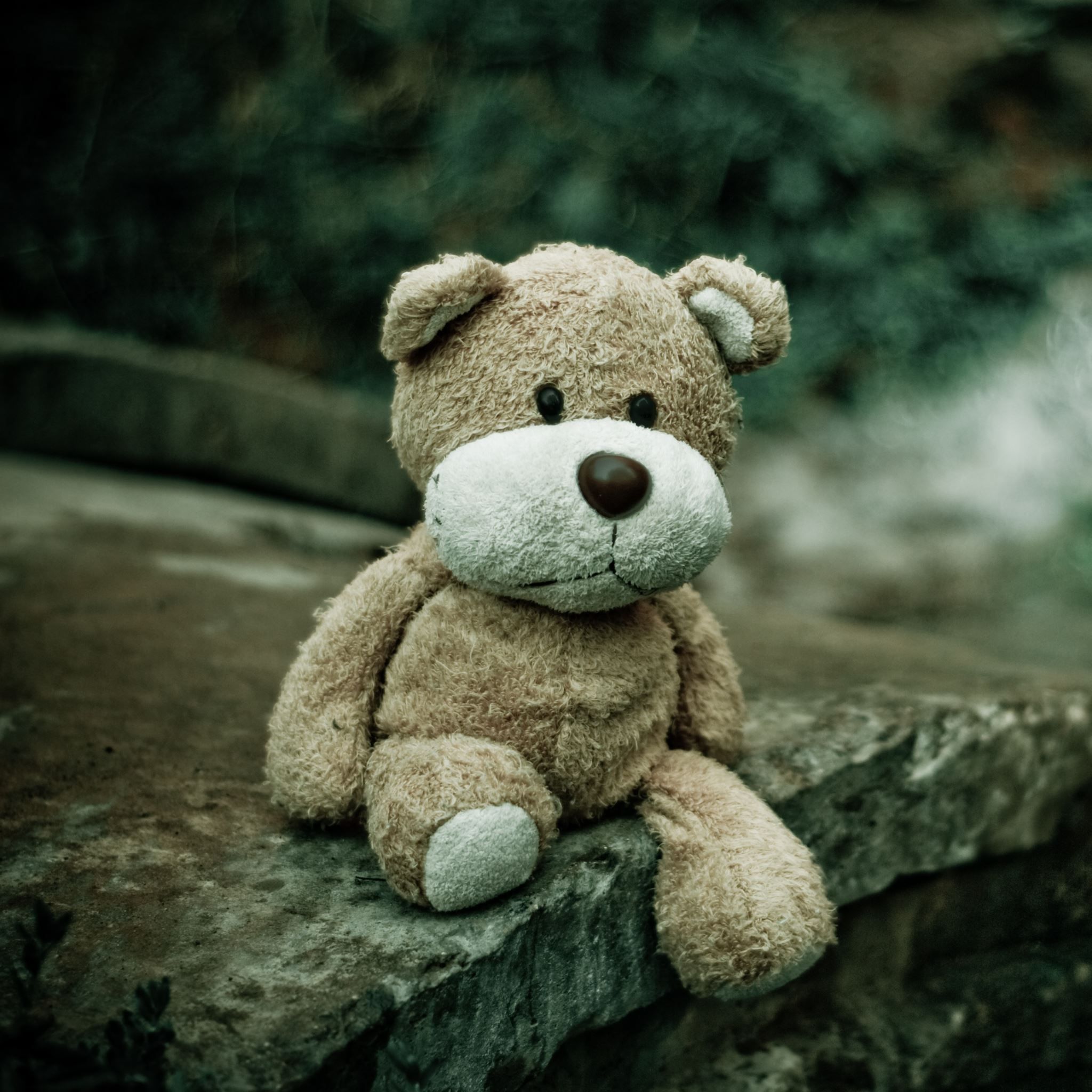 A teddy bear sitting on top of some rocks - Teddy bear