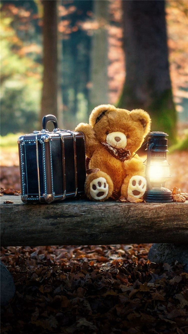 A teddy bear sitting next to an old suitcase - Teddy bear