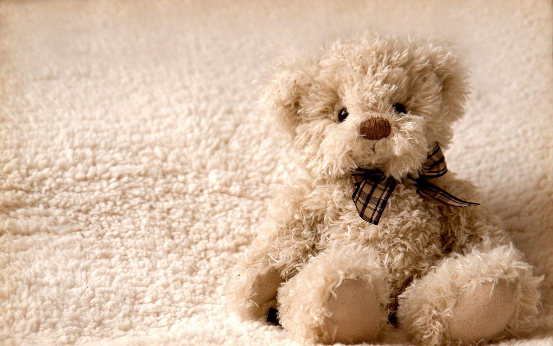 A teddy bear sitting on a white fluffy carpet - Teddy bear