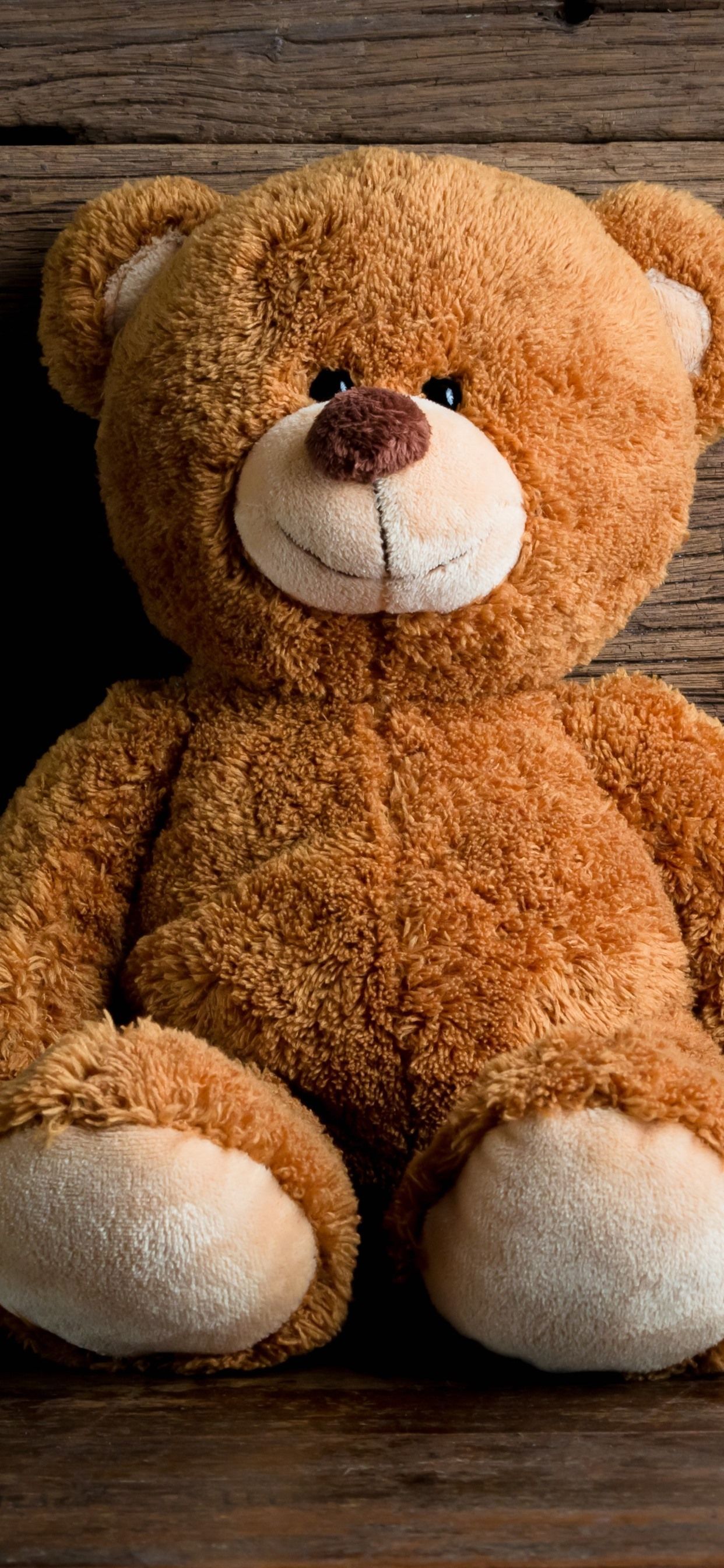 A brown teddy bear sitting on the floor - Teddy bear