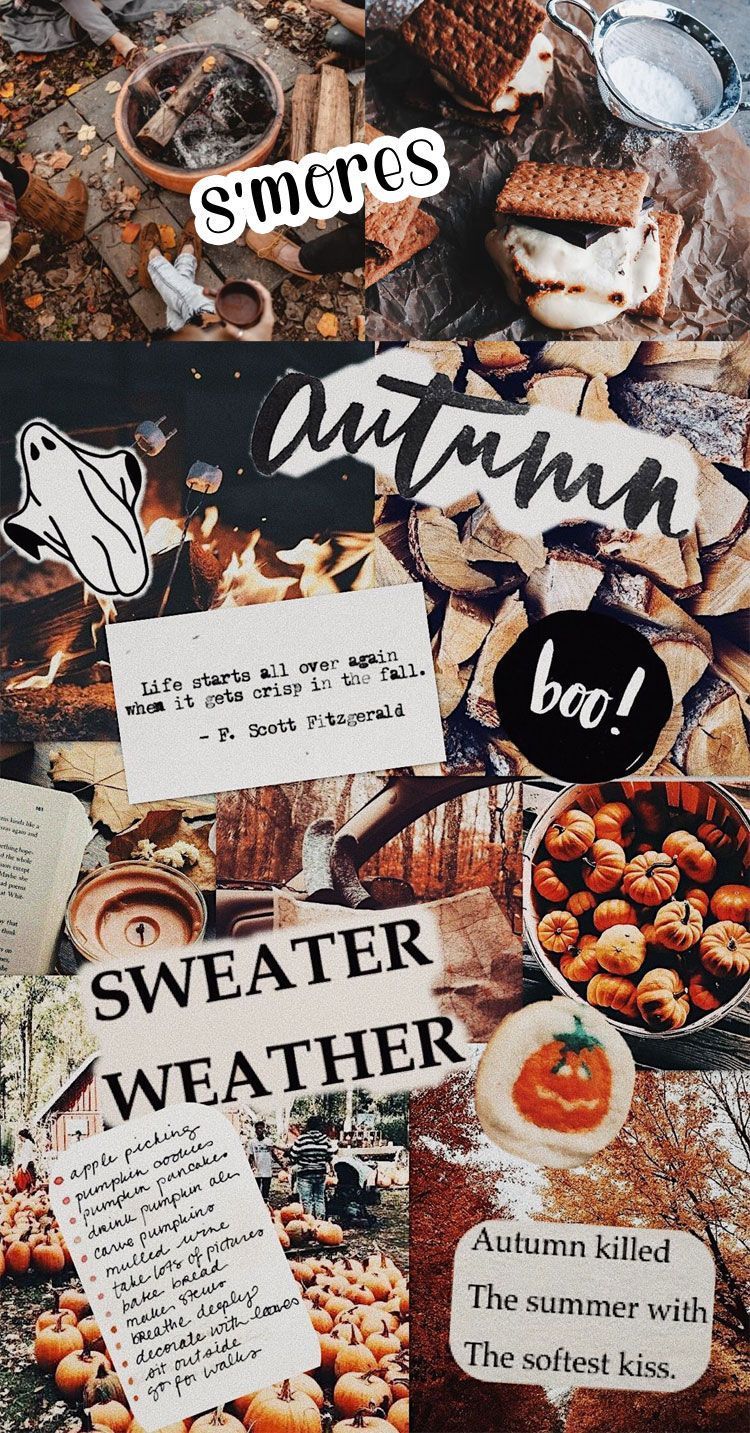 Aesthetic wallpaper for phone with autumn themes. - Fall, fall iPhone