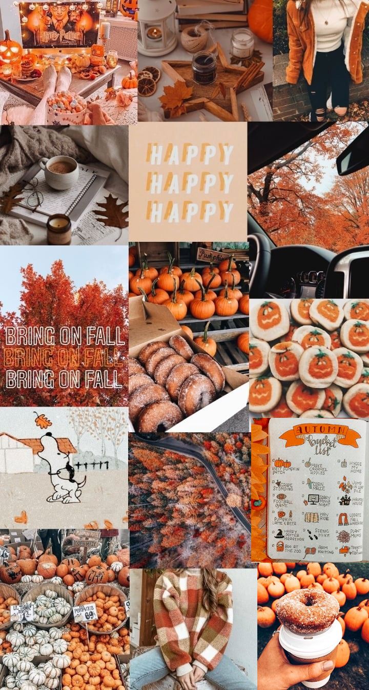 A collage of pictures with orange and brown food - Fall iPhone, fall, November