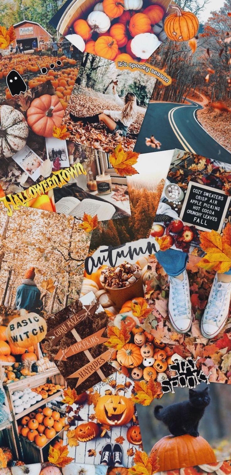 A collage of pictures with pumpkins and leaves - Fall