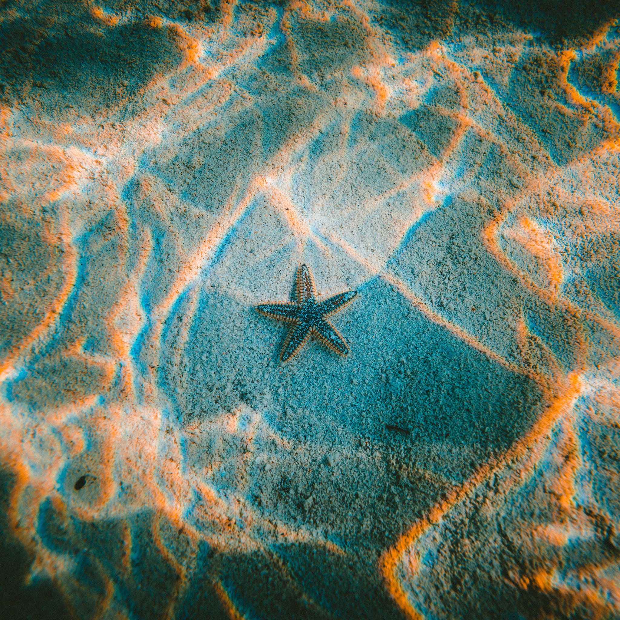 A starfish on the sand with a blue and orange reflection - Beach, mermaid