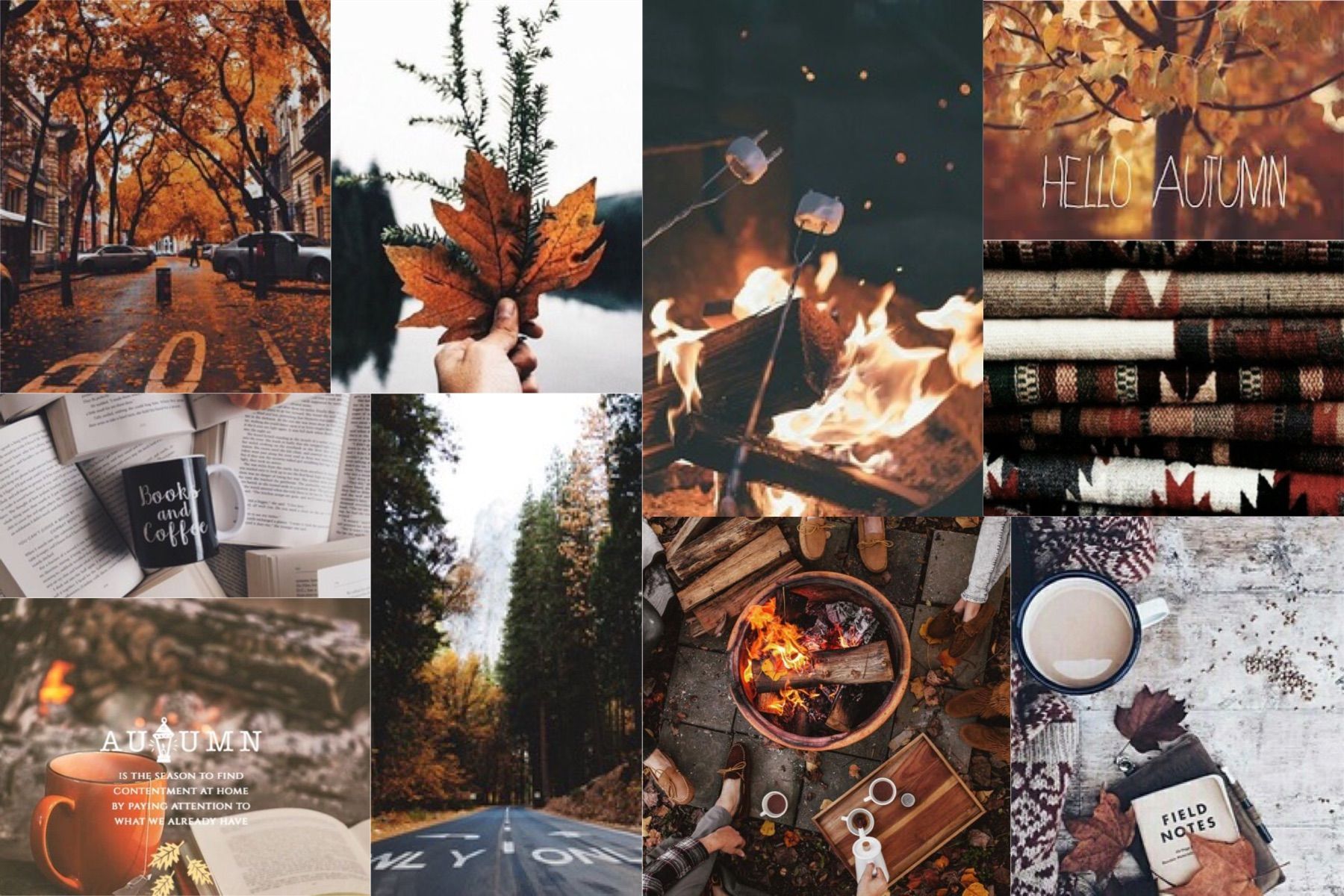 A collage of pictures with fall leaves and other items - Laptop, vintage fall, fall, cute fall, cozy