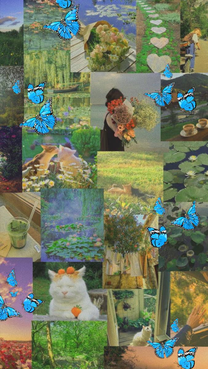 A collage of blue butterflies, cats, and flowers. - Cottagecore