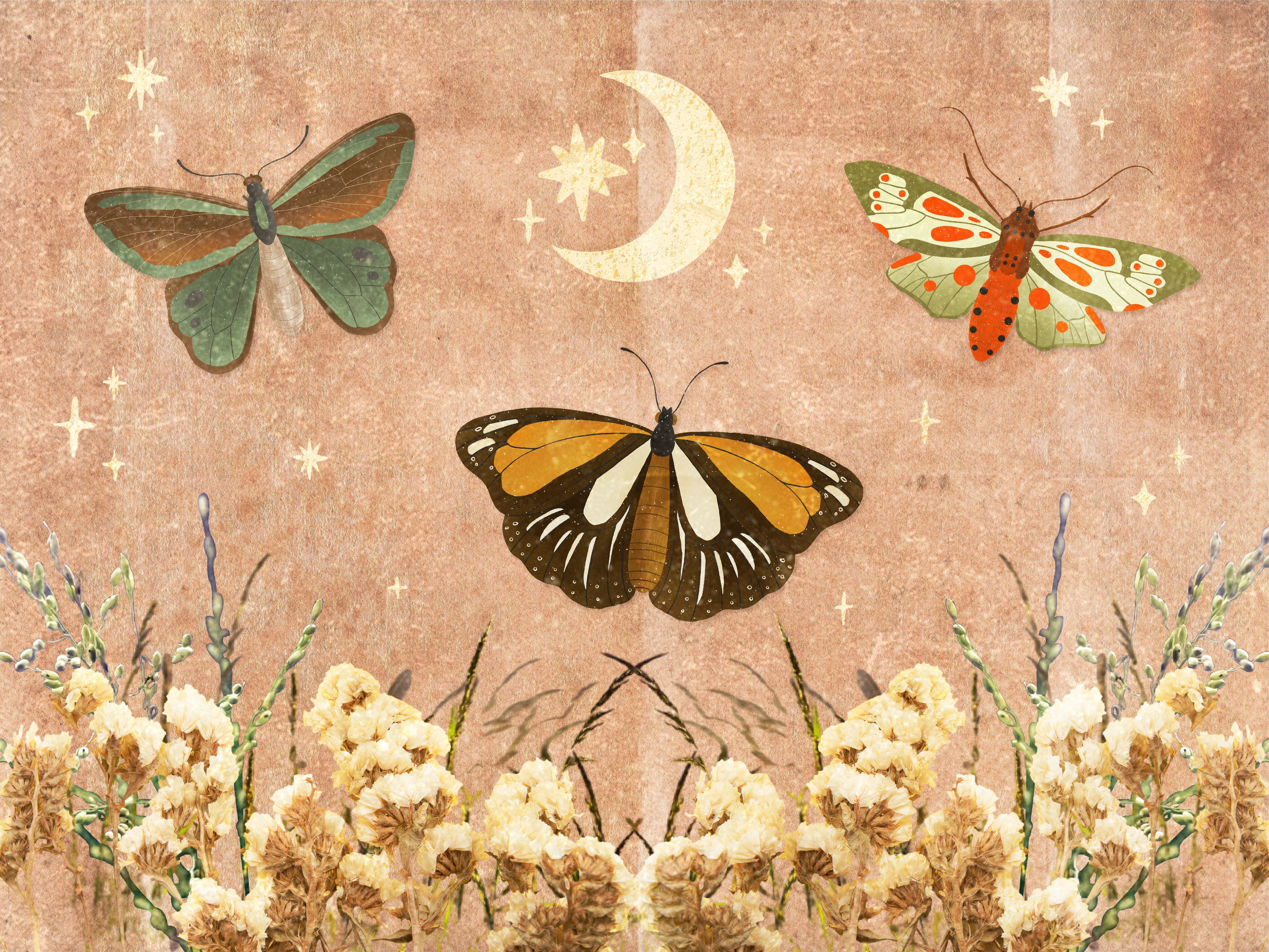 A painting of butterflies and the moon - Cottagecore