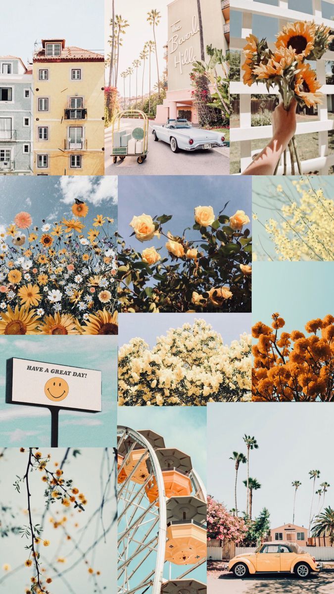 A collage of pictures with yellow flowers and cars - Spring, collage