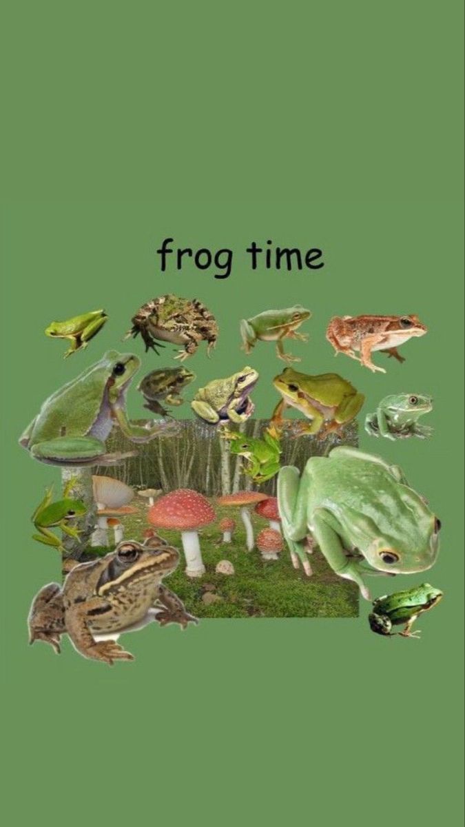 A poster with a green background and a variety of frogs on it. - Frog