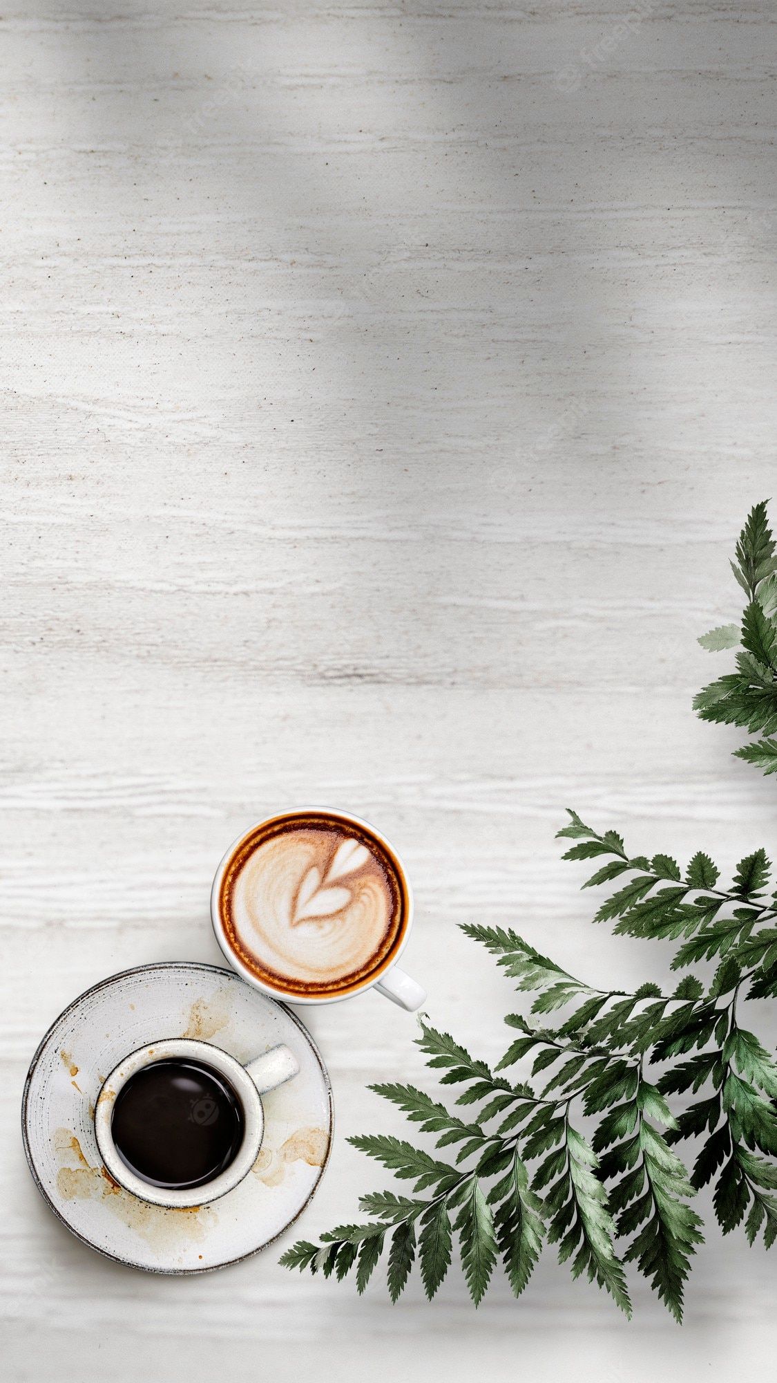 A cup of coffee and a fern leaf on a white table. - Coffee