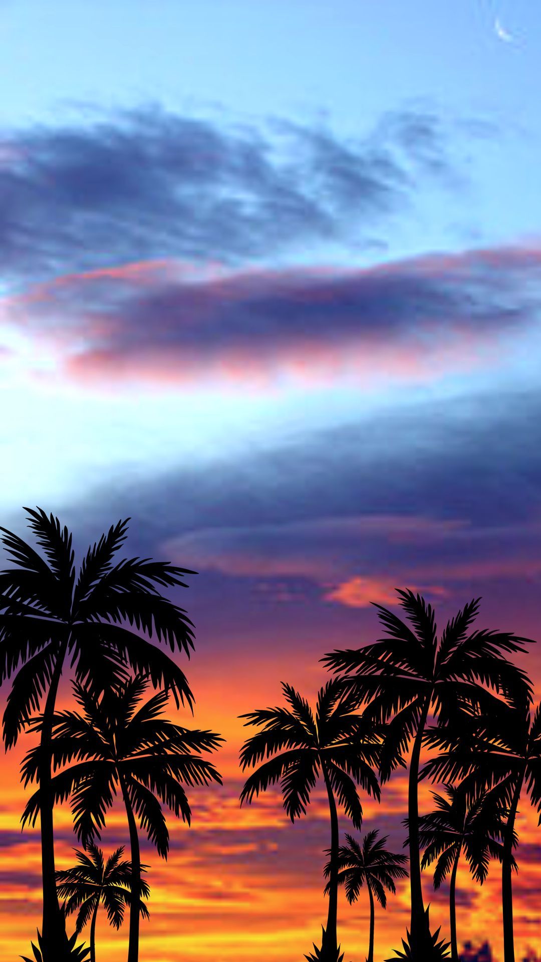 A sunset with palm trees and clouds - Sunset