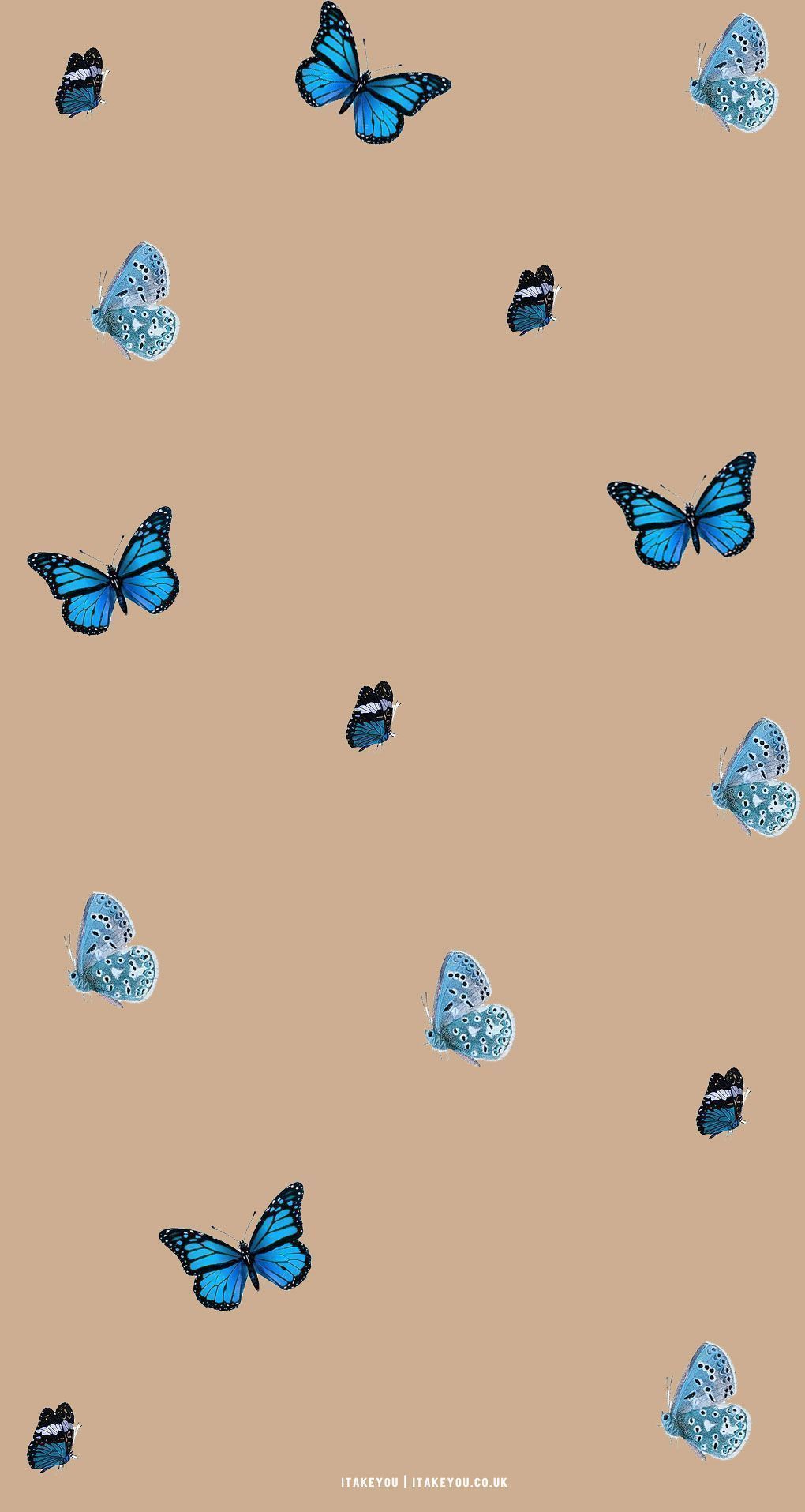 Cute Brown Aesthetic Wallpaper for Phone : Butterflies I Take You. Wedding Readings. Wedding Ideas