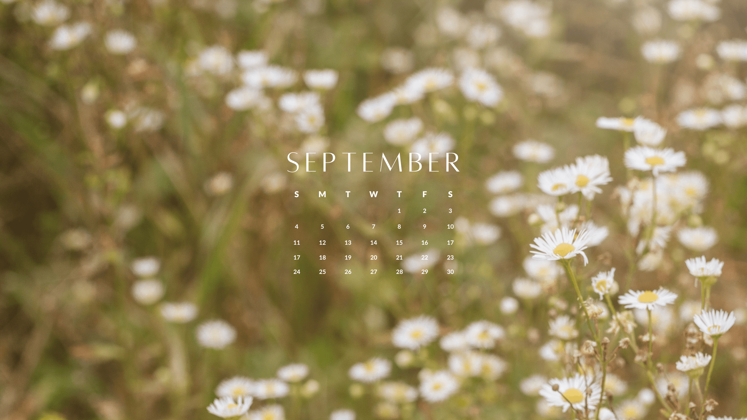 September Background: Free Download for Your Phone, Tablet or Desktop