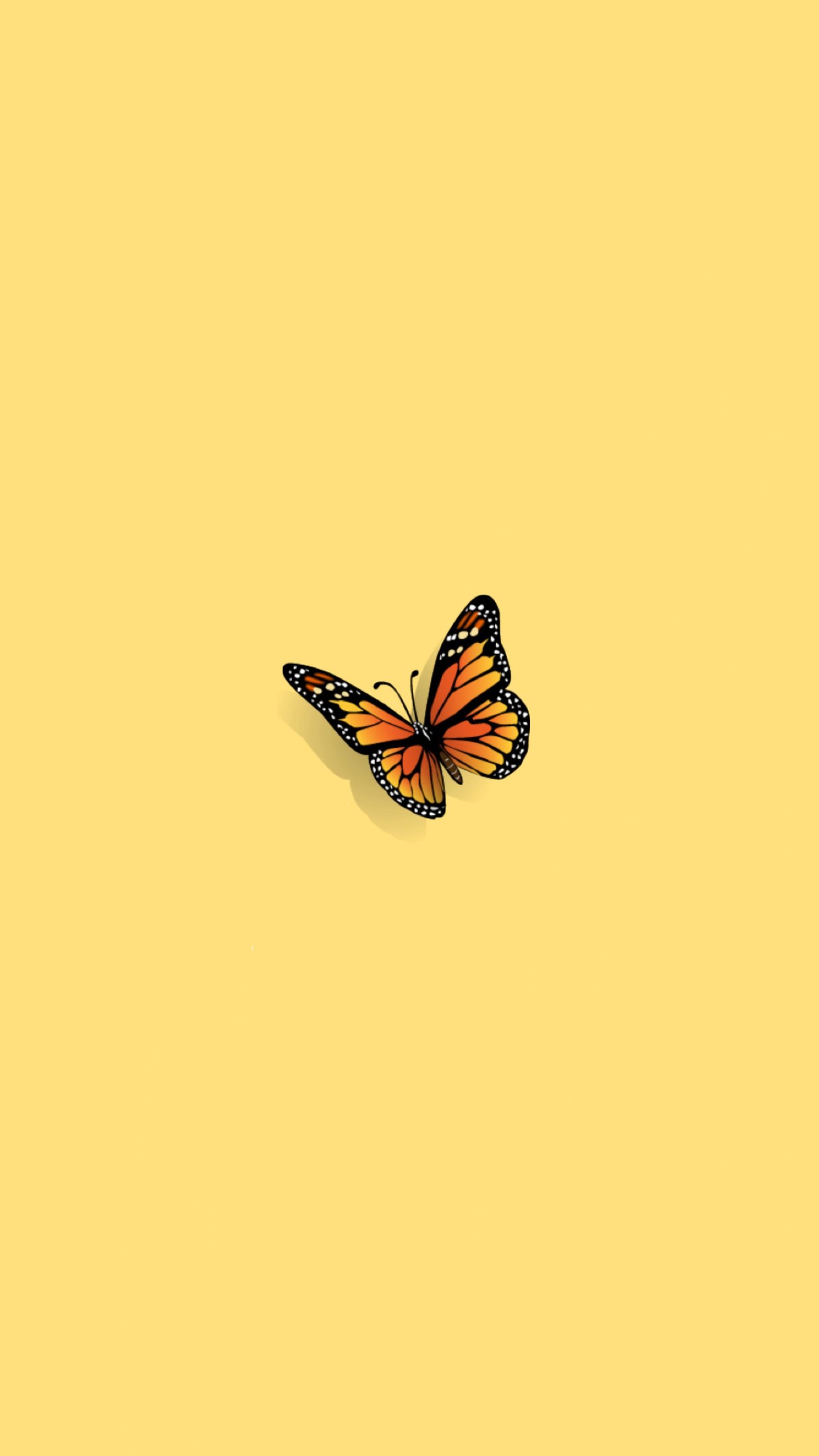 Aesthetic butterfly wallpaper for phone with a yellow background - Butterfly