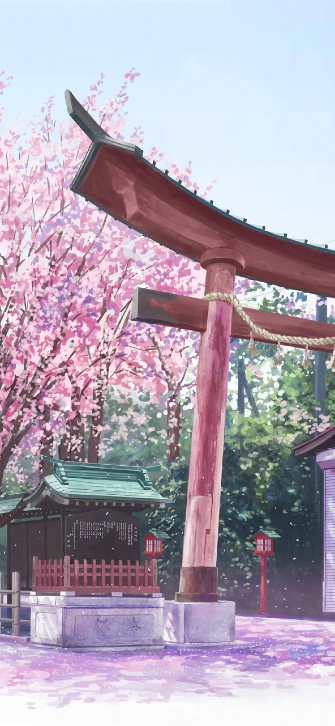 Download Japanese Aesthetic iPhone Torii And Sakura Tree Wallpaper