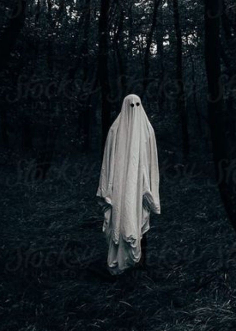 A ghost in the woods by person - Ghost