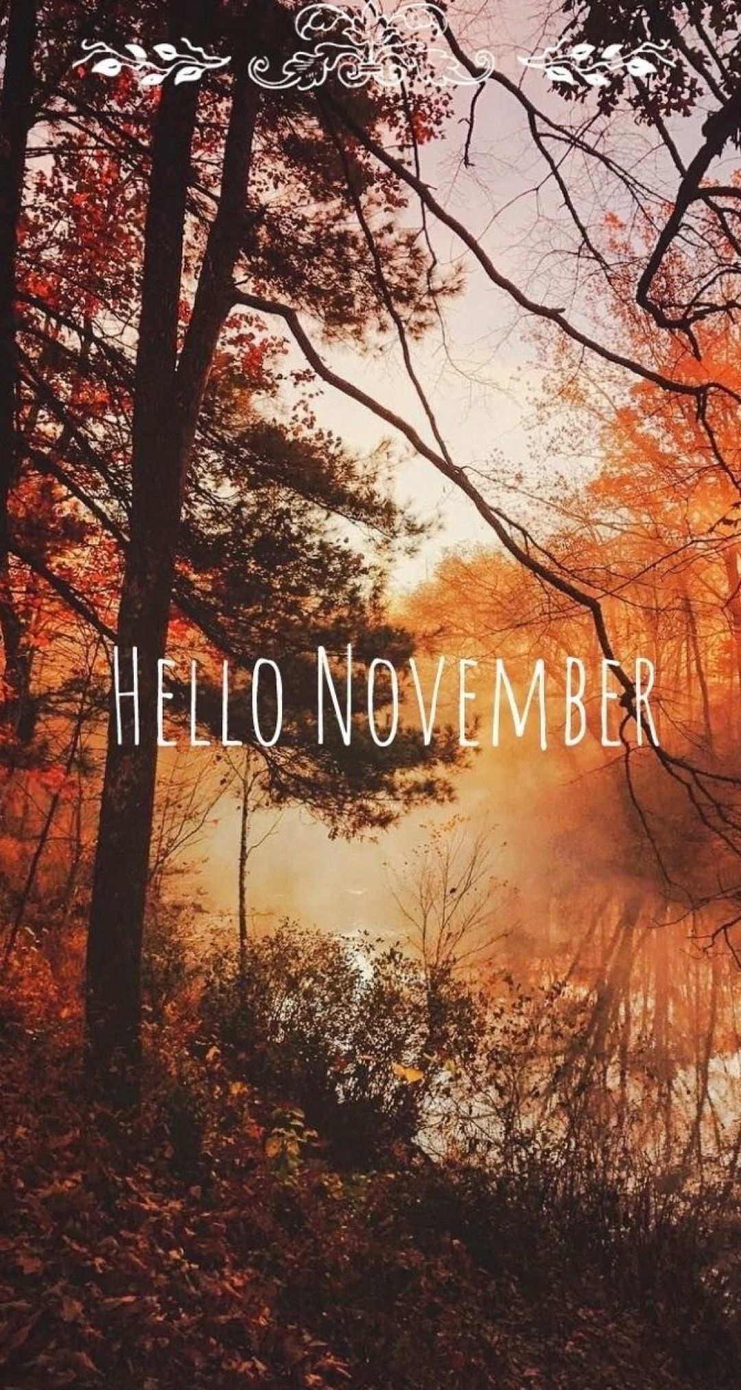 Hello November wallpaper by<ref> the beauty</ref><box>(147,458),(899,546)</box> of words - November