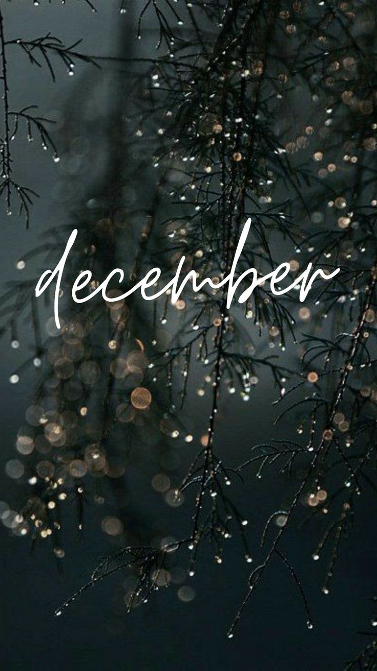 December Wallpaper. December wallpaper, Christmas phone wallpaper, iPhone wallpaper winter