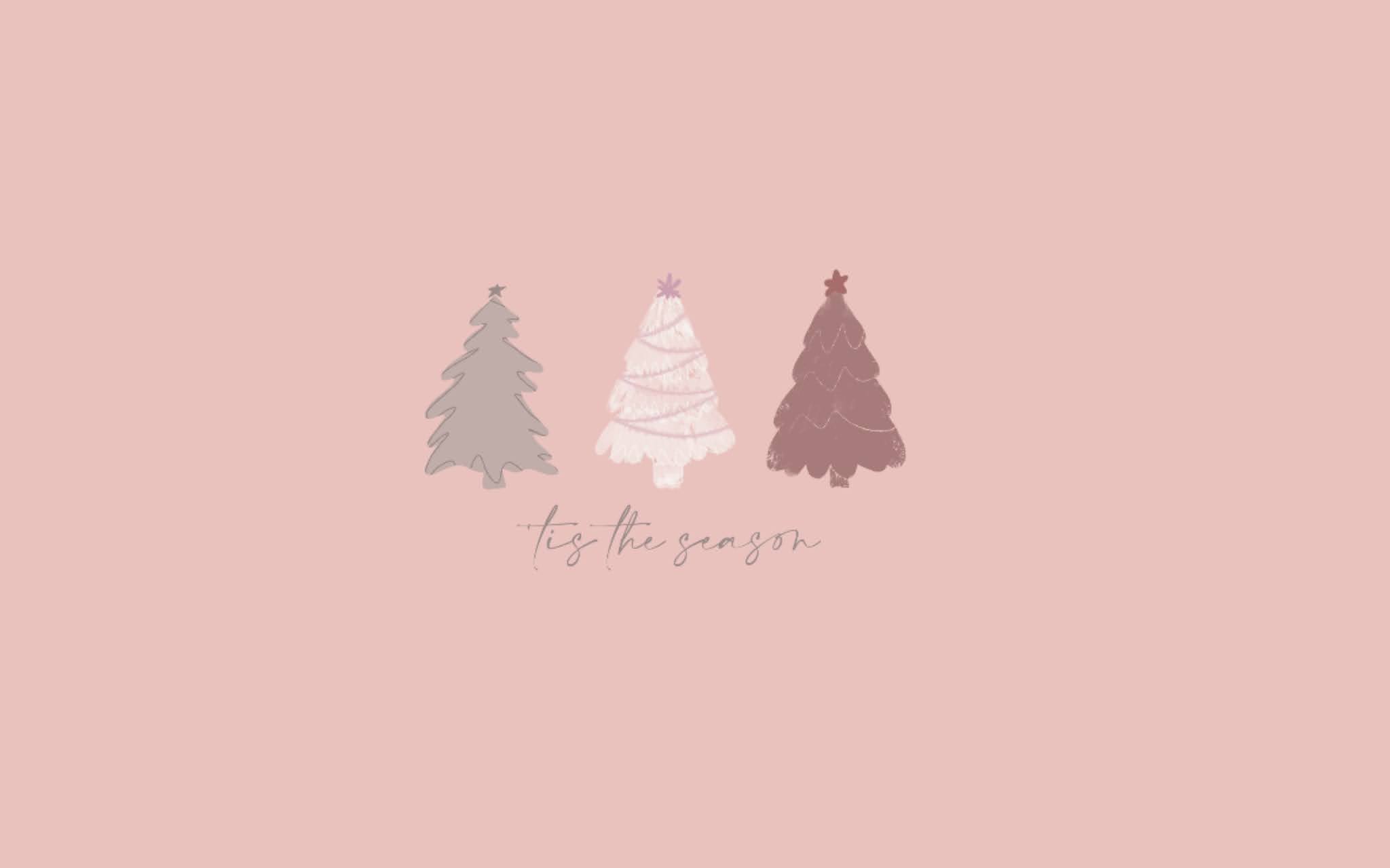 A pink background with three christmas trees - December