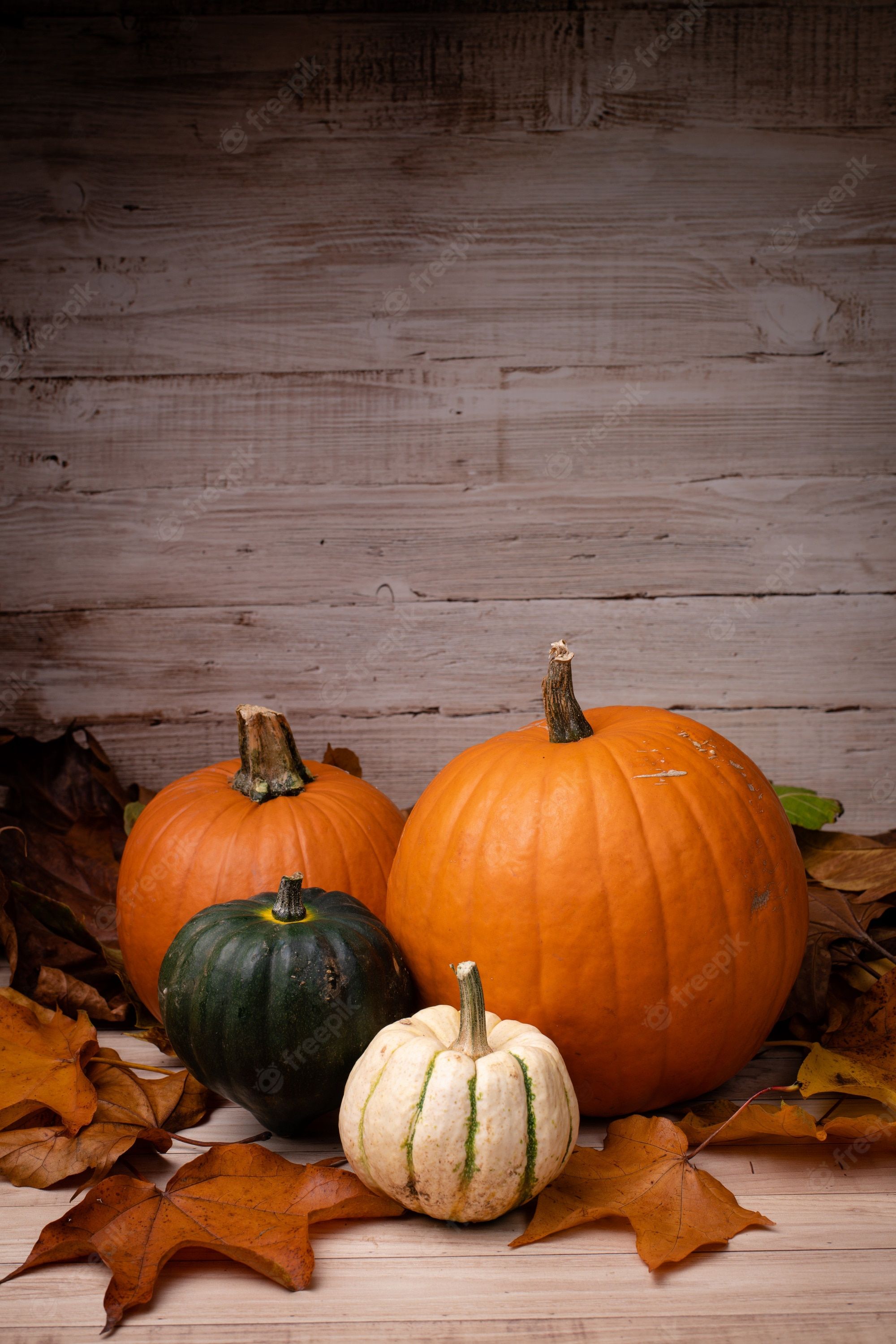 Pumpkin Background Image
