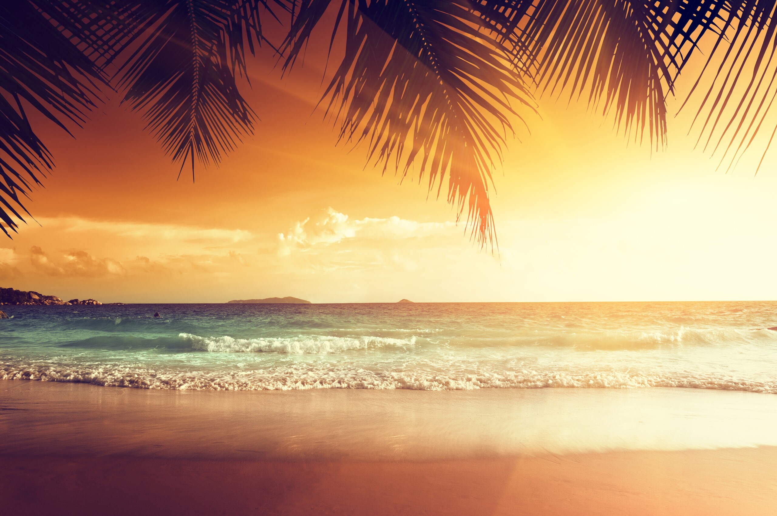 A beach with palm trees and the sun setting - Beach, sun, tropical