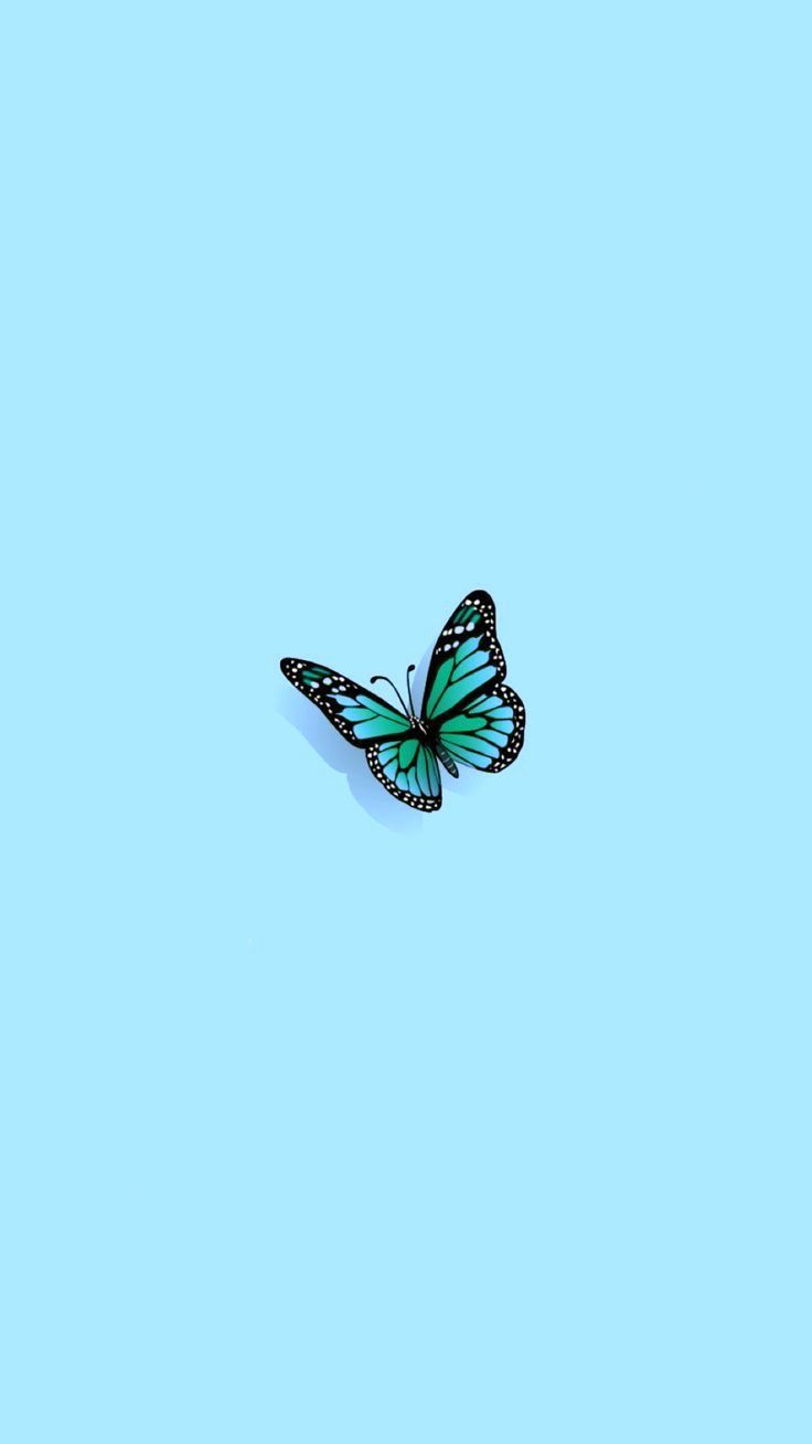 Aesthetic butterfly wallpaper for phone in blue and black - Teal