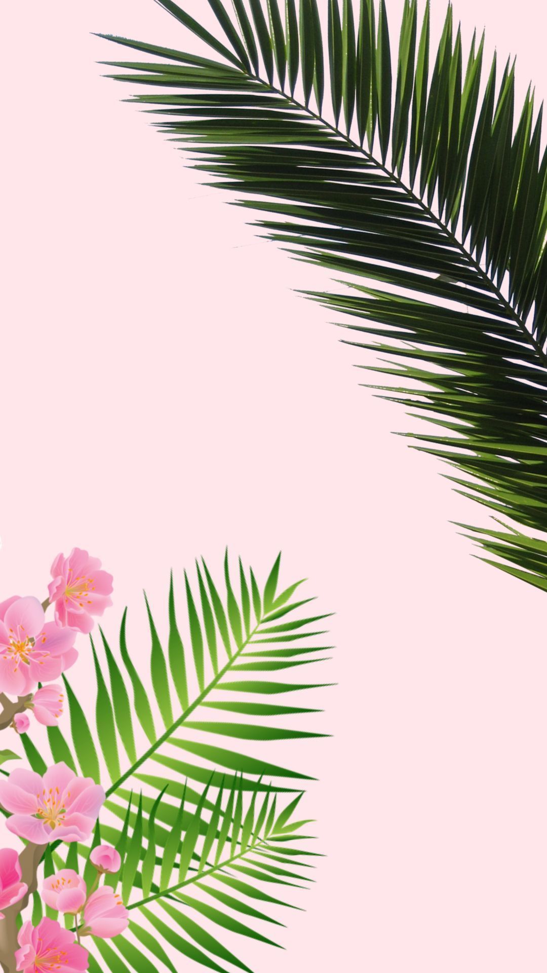 Pink flowers and palm leaves on a pink background - Tropical