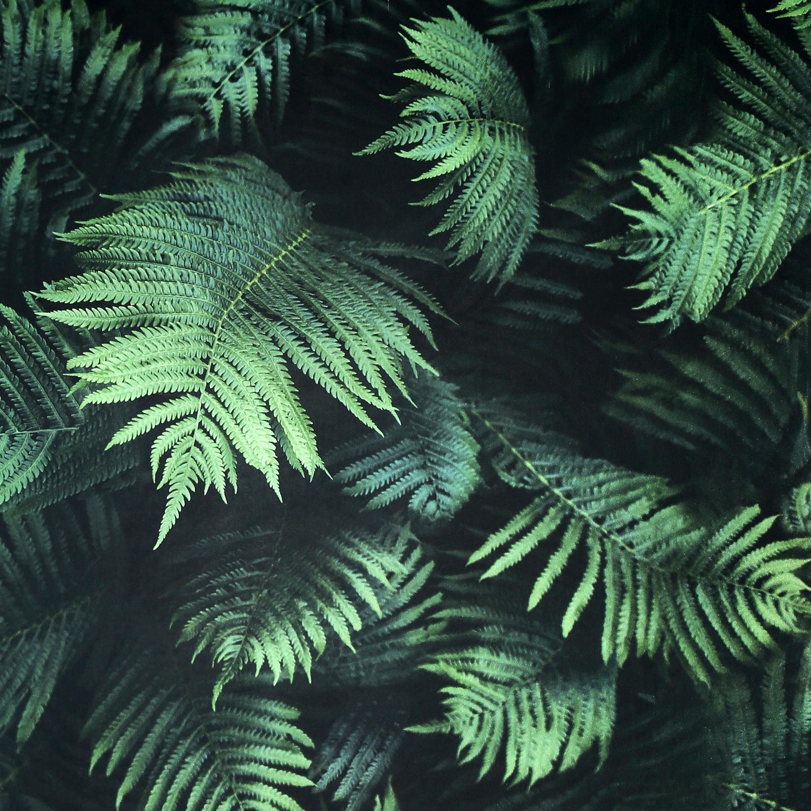 A close up of some green leaves - Tropical, jungle