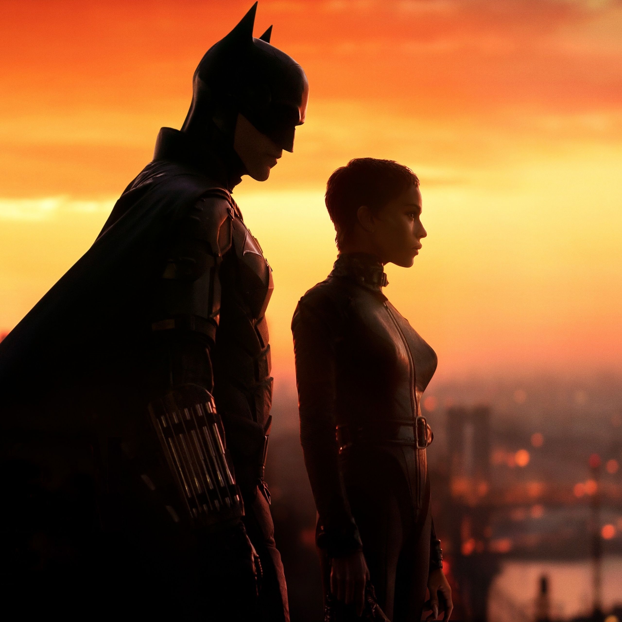 The Batman and Catwoman standing in front of a sunset - Batman